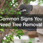 Common Signs You Need Tree Removal